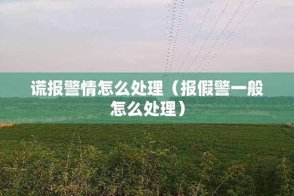 谎报警情怎么处理（报假警一般怎么处理）