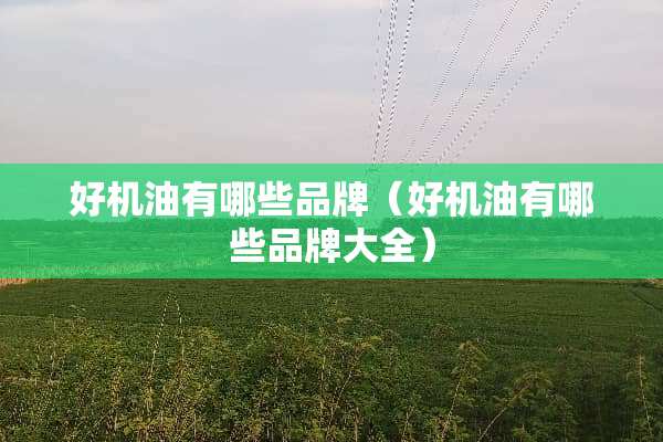 好机油有哪些品牌（好机油有哪些品牌大全）