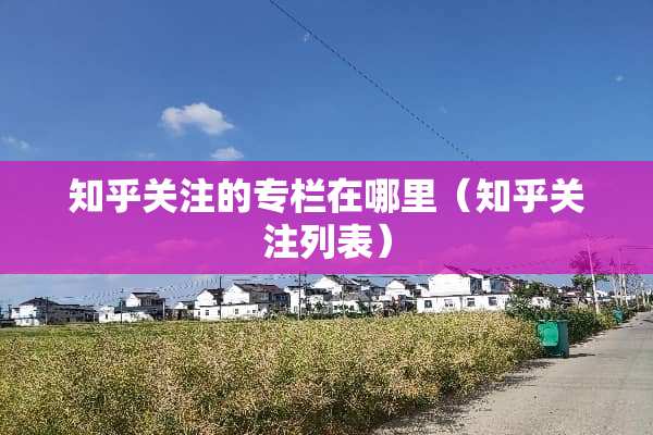 知乎关注的专栏在哪里（知乎关注列表）