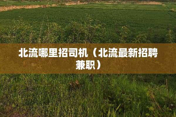 北流哪里招司机（北流最新招聘兼职）