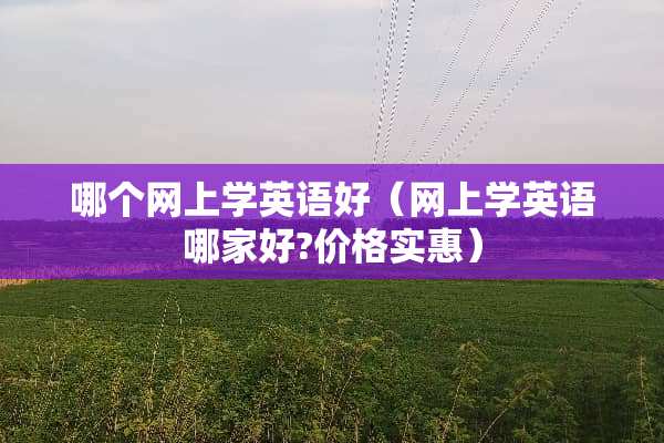 哪个网上学英语好（网上学英语哪家好?价格实惠）
