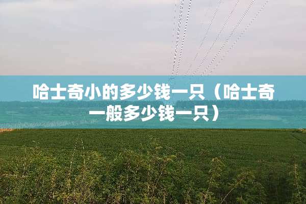 哈士奇小的多少钱一只（哈士奇一般多少钱一只）