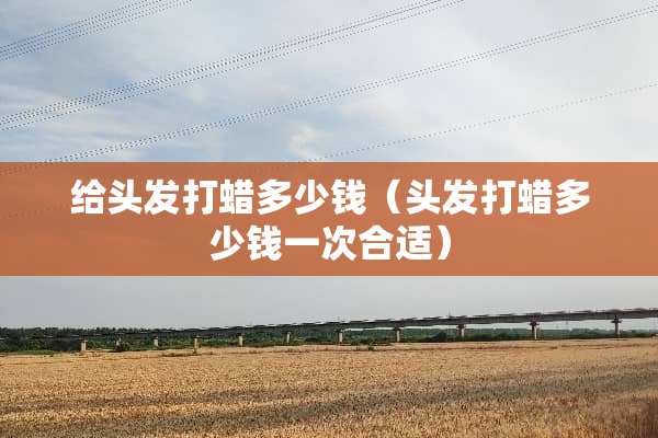给头发打蜡多少钱（头发打蜡多少钱一次合适）