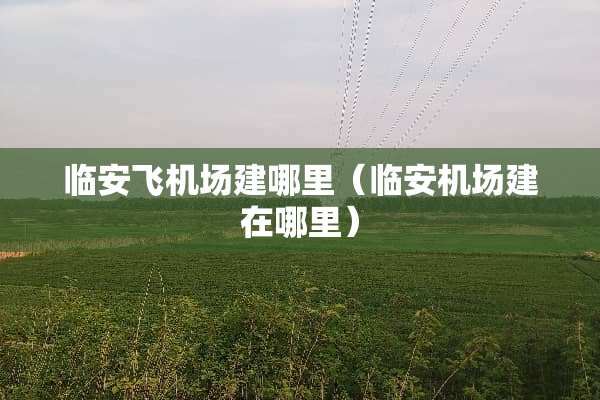 临安飞机场建哪里（临安机场建在哪里）