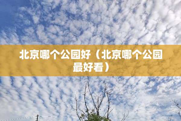 北京哪个公园好（北京哪个公园最好看）