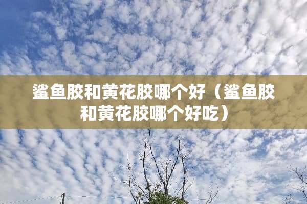 鲨鱼胶和黄花胶哪个好（鲨鱼胶和黄花胶哪个好吃）