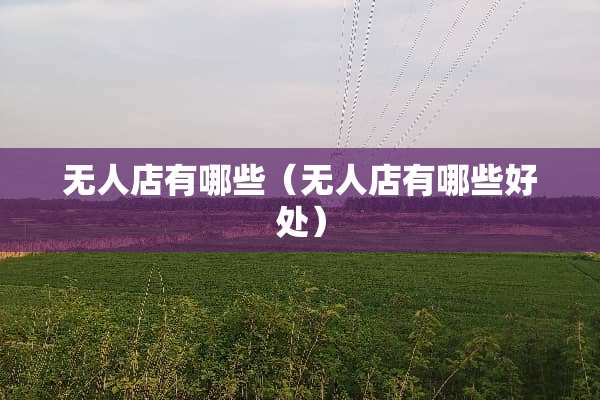 无人店有哪些（无人店有哪些好处）