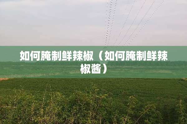 如何腌制鲜辣椒（如何腌制鲜辣椒酱）