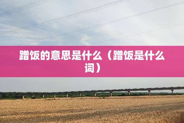 蹭饭的意思是什么（蹭饭是什么词）