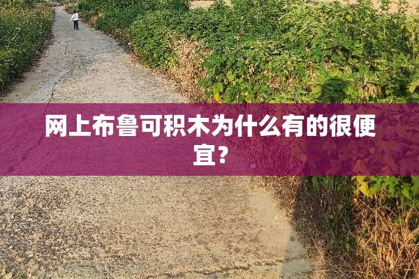 网上布鲁可积木为什么有的很便宜？