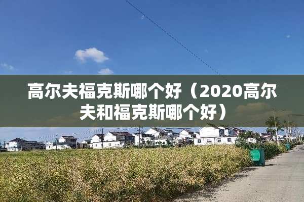 高尔夫福克斯哪个好（2020高尔夫和福克斯哪个好）
