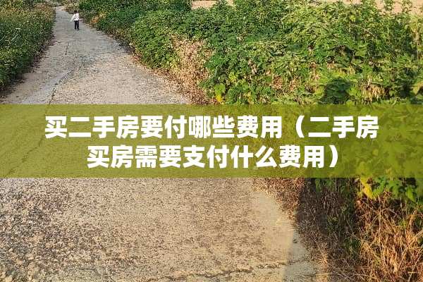 买二手房要付哪些费用（二手房买房需要支付什么费用）