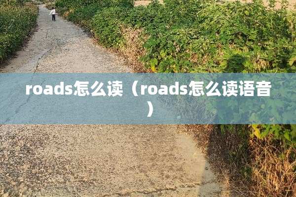 roads怎么读（roads怎么读语音）