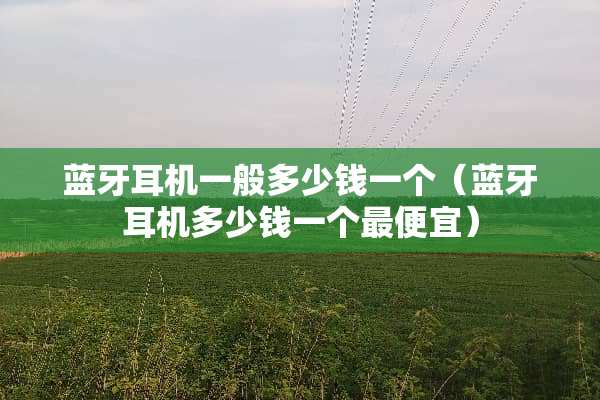 蓝牙耳机一般多少钱一个（蓝牙耳机多少钱一个最便宜）