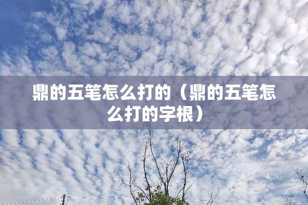鼎的五笔怎么打的（鼎的五笔怎么打的字根）