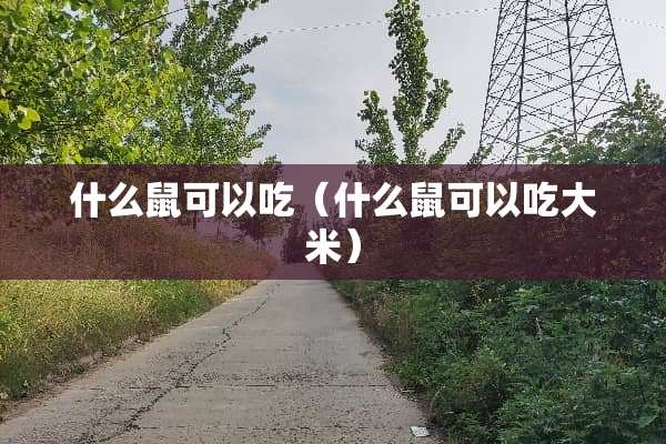 什么鼠可以吃（什么鼠可以吃大米）