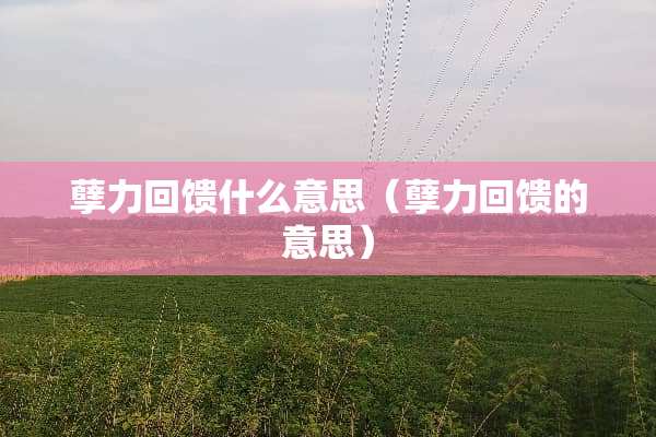 孽力回馈什么意思（孽力回馈的意思）