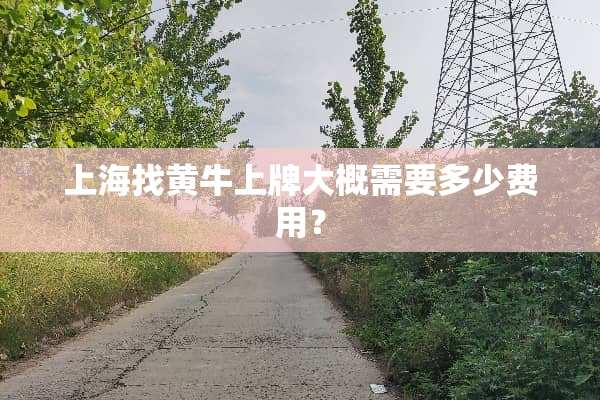 上海找黄牛上牌大概需要多少费用？