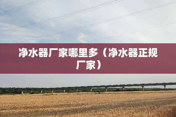 ***厂家哪里多（***正规厂家）