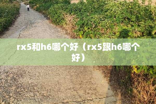 rx5和h6哪个好（rx5跟h6哪个好）