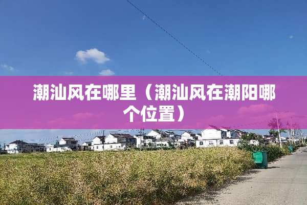 潮汕风在哪里（潮汕风在潮阳哪个位置）