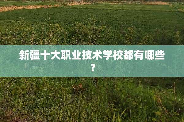 新疆十大职业技术学校都有哪些？