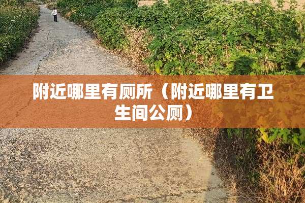 附近哪里有厕所（附近哪里有卫生间公厕）