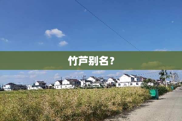 竹芦别名？