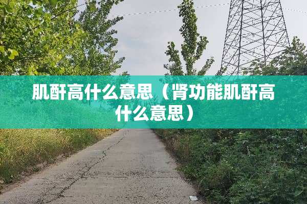 肌酐高什么意思（肾功能肌酐高什么意思）