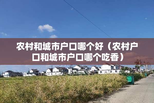 农村和城市户口哪个好（农村户口和城市户口哪个吃香）