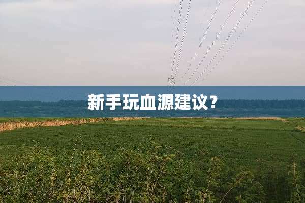 新手玩血源建议？