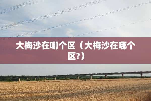 大梅沙在哪个区（大梅沙在哪个区?）
