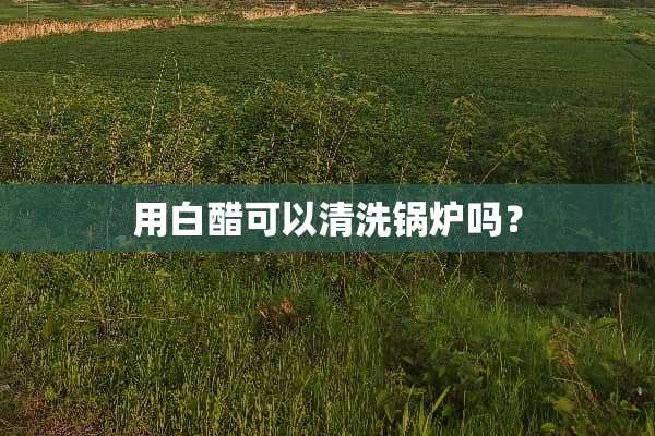 用白醋可以清洗锅炉吗？