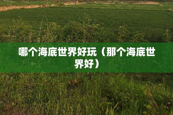 哪个海底世界好玩（那个海底世界好）