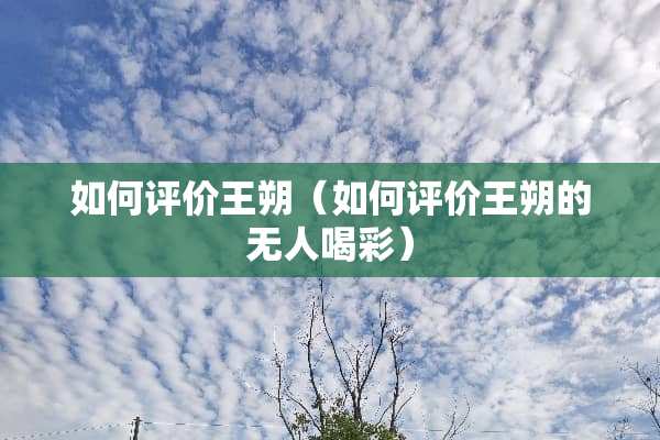 如何评价王朔（如何评价王朔的无人喝彩）
