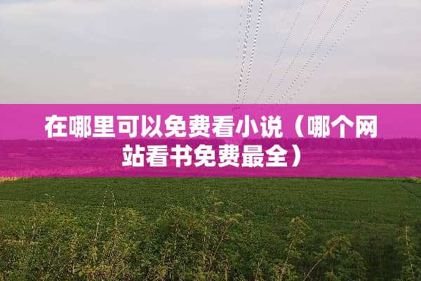 在哪里可以免费看小说（哪个网站看书免费最全）