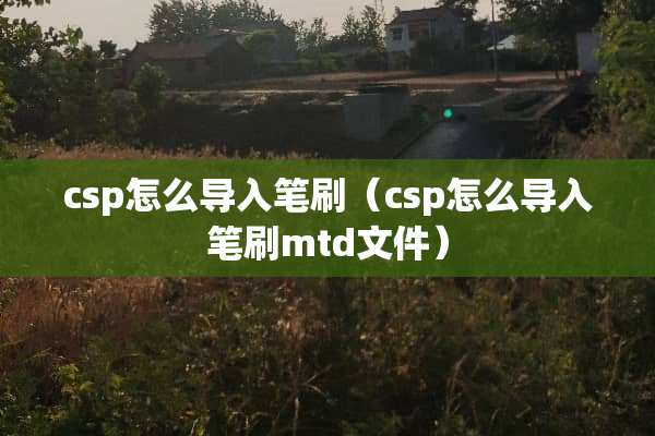 csp怎么导入笔刷（csp怎么导入笔刷mtd文件）