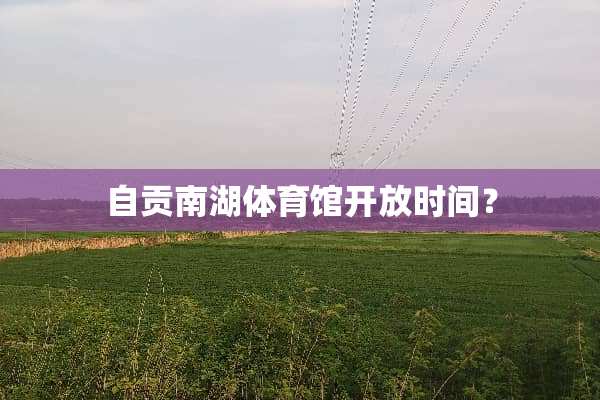 自贡南湖体育馆开放时间？