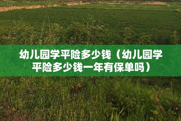 幼儿园学平险多少钱（幼儿园学平险多少钱一年有保单吗）