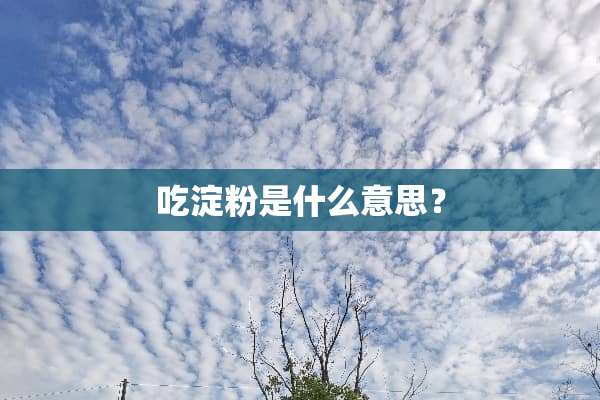 吃淀粉是什么意思？