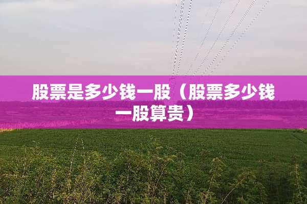 股票是多少钱一股（股票多少钱一股算贵）