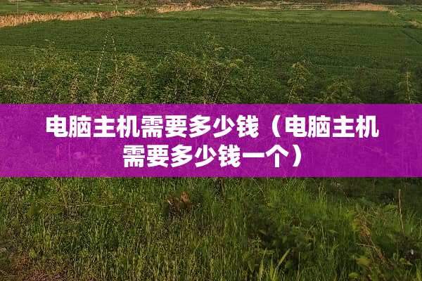 电脑主机需要多少钱（电脑主机需要多少钱一个）