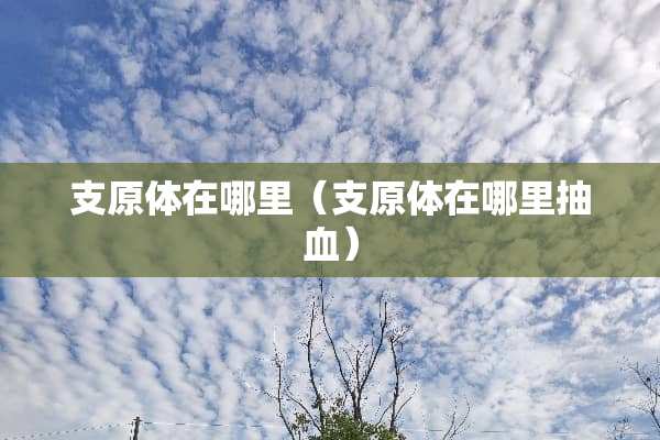 支原体在哪里（支原体在哪里抽血）
