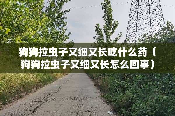狗狗拉虫子又细又长吃什么药（狗狗拉虫子又细又长怎么回事）