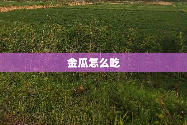金瓜怎么吃