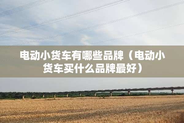 电动小货车有哪些品牌（电动小货车买什么品牌最好）
