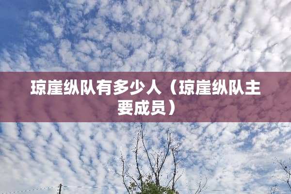 琼崖纵队有多少人（琼崖纵队主要成员）