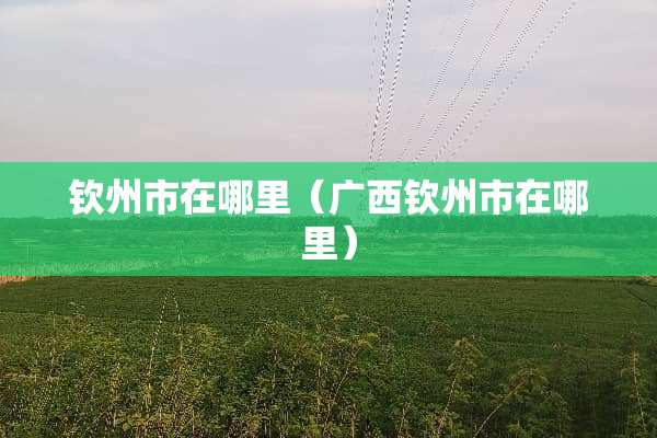 钦州市在哪里（广西钦州市在哪里）