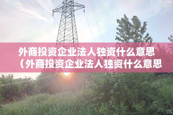 外商投资企业法人独资什么意思（外商投资企业法人独资什么意思,是外资企业吗）
