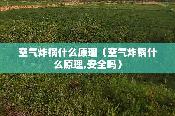 空气炸锅什么原理（空气炸锅什么原理,安全吗）